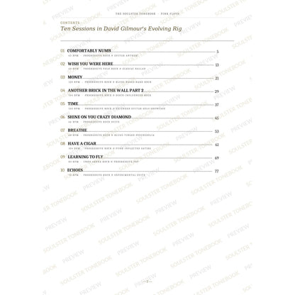 Contents page from the Pink Floyd Soulster Tonebook, listing all 10 songs with their tempos, genre tags and page numbers in a gold-and-black serif layout. A faint diagonal 'Soulster Tonebook · Preview' watermark repeats across the page.