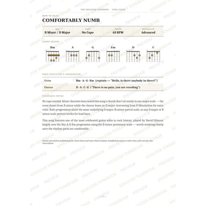 How-to-play page for 'Comfortably Numb' by Pink Floyd, showing the key, capo, tempo and difficulty, printed chord-shape diagrams, a song-structure and chord-progression breakdown and technique notes — chord charts only, no lyrics or notation. A faint diagonal 'Soulster Tonebook · Preview' watermark repeats across the page.