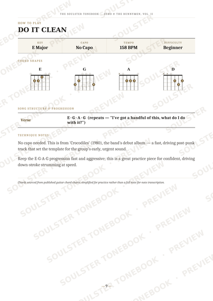 A printed guitar lesson page titled 'DO IT CLEAN' with chord diagrams for E, G, A, and D chords, plus verse lyrics and technical notes. The page has repeated diagonal 'SOULSTER TONEBOOK' watermarks and a faint preview overlay.