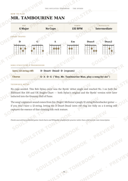 A guitar lesson page titled 'MR. TAMBOURINE MAN' from Soulster's Guitar Technique series.